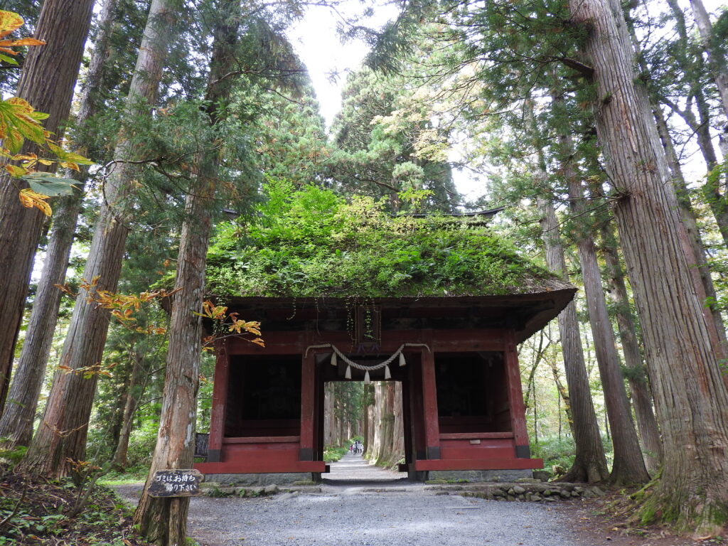 戸隠神社　随神門　と杉並木