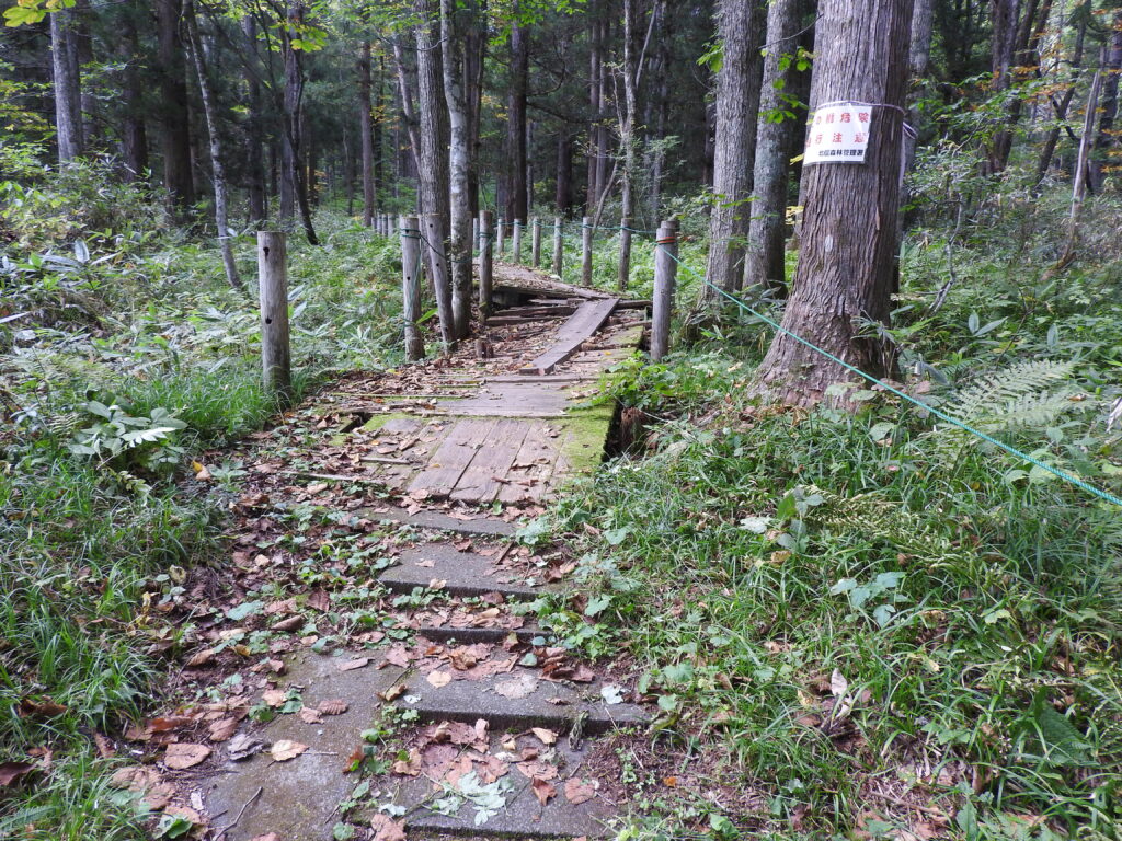 戸隠森林植物園内　遊歩道を板で補修情報