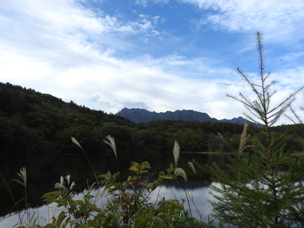 戸隠池巡りコース小鳥ケ池