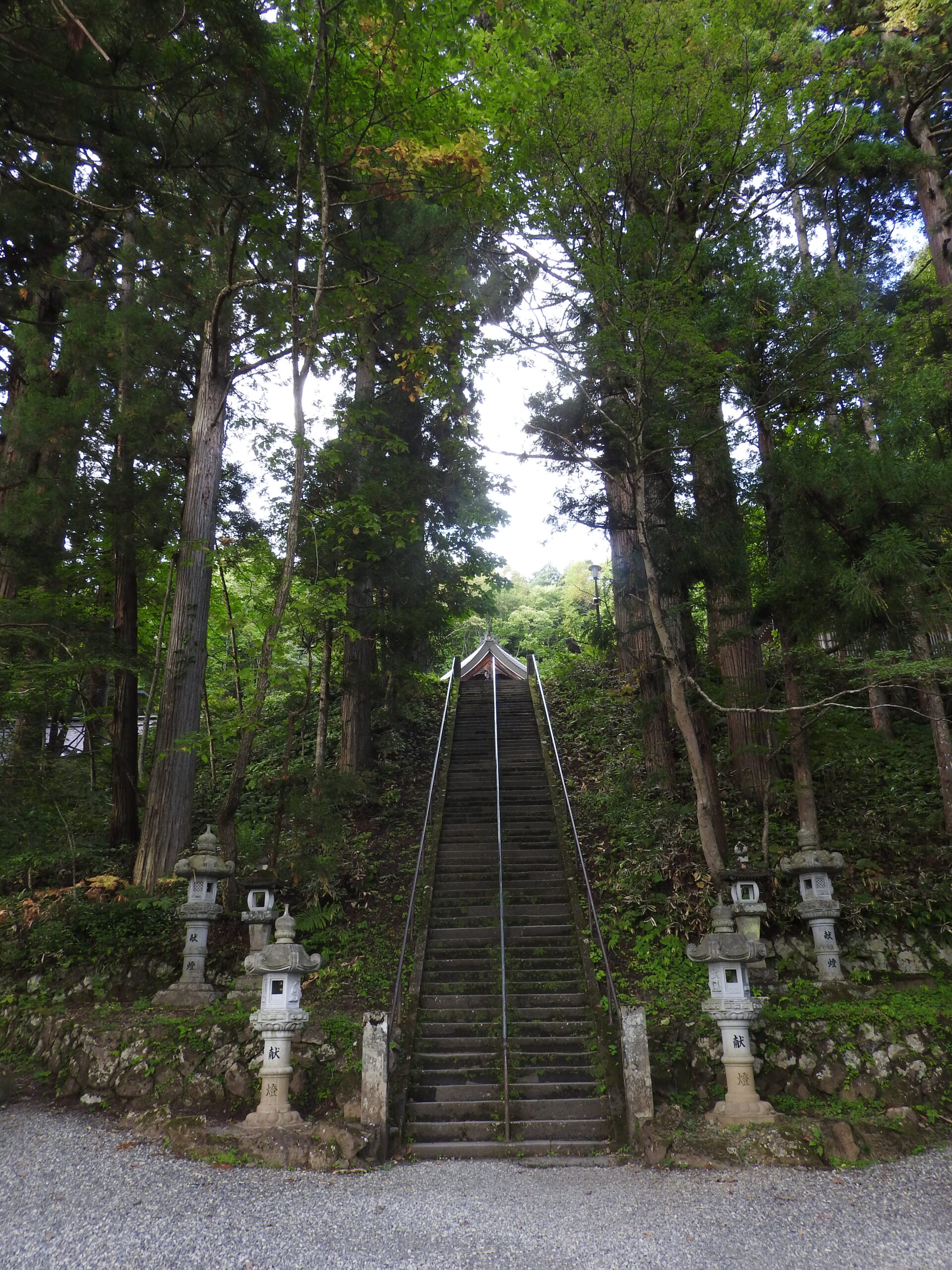 戸隠神社　中社への階段と杉