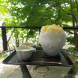 かき氷　葉山